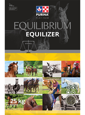 Equilizer