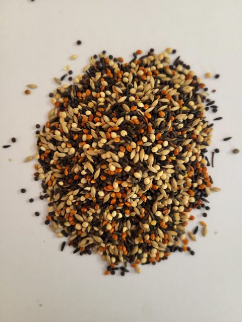 Finch Mix