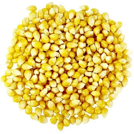 Whole Corn