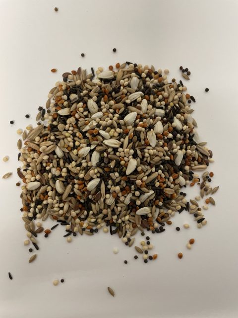 Bird Candy