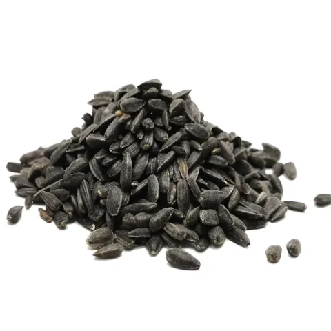 Black Oil sunflower seed