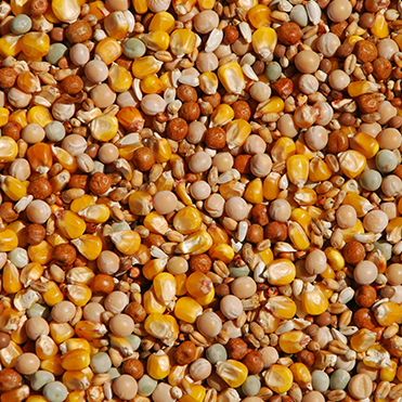 Breeding Mix