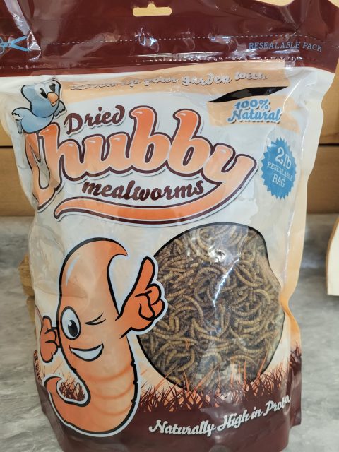 Meal Worms